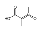 Propanoic acid, 2-(methyloxidoimino)- (9CI) picture