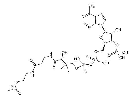 acetyl coenzyme a, [acetyl-1-14c]结构式