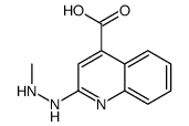 2-(2-methylhydrazinyl)quinoline-4-carboxylic acid结构式