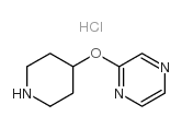 2-(Piperidin-4-yloxy)pyrazine, HCl picture