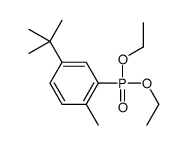 4-tert-butyl-2-diethoxyphosphoryl-1-methylbenzene结构式