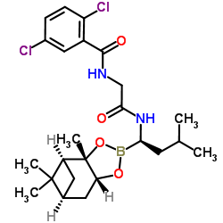 2,5-Dichloro-N-[2-({(1R)-3-methyl-1-[(1S,2S,6R,8S)-2,9,9-trimethyl-3,5-dioxa-4-boratricyclo[6.1.1.02,6]dec-4-yl]butyl}amino)-2-oxoethyl]benzamide Structure