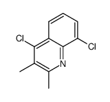 4,8-dichloro-2,3-dimethylquinoline Structure