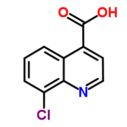 8-chloroquinoline-4-carboxylic acid structure