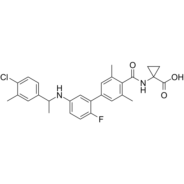 Ex26 structure