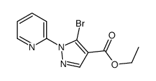 5-溴-1-(吡啶-2-基)-1H-吡唑-4-羧酸乙酯图片