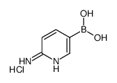 (6-Aminopyridin-3-yl)boronic acid hydrochloride Structure