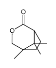 (1S)-5,8,8-trimethyl-3-oxabicyclo[3.2.1]octan-2-one结构式