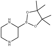 Piperazine-2-boronic acid pinacol ester图片