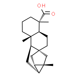 trachyloban-19-oic acid结构式