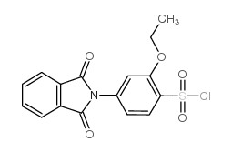 2-ETHOXY-4-(N-PHTHALIMIDINYL)BENZENE- structure