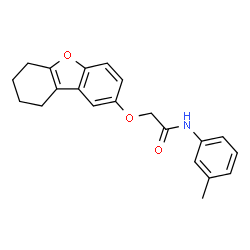 N-(3-Methylphenyl)-2-(6,7,8,9-tetrahydrodibenzo[b,d]furan-2-yloxy)acetamide结构式
