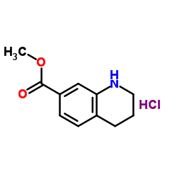 1,2,3,4-Tetrahydro-Quinoline-7-Carboxylic Acid Methyl Ester Hydrochloride Structure