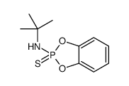 N-tert-butyl-2-sulfanylidene-1,3,2λ5-benzodioxaphosphol-2-amine结构式