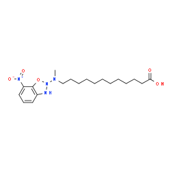 12-(N-METHYL-N-(7-NITROBENZ-2-OXA-1,3-DIAZOL-4-YL) AMINODODECANOIC ACID结构式