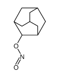 2-adamantyl nitrite Structure
