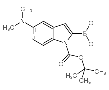 2-硼-5-(二甲基氨基)-1H-吲哚-1-羧酸-1-(1,1-二甲基乙基)酯结构式