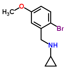 N-(2-Bromo-5-methoxybenzyl)cyclopropanamine picture