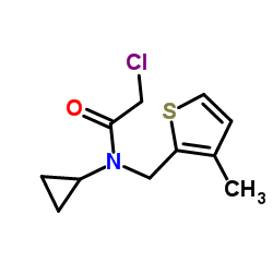 2-Chloro-N-cyclopropyl-N-[(3-methyl-2-thienyl)methyl]acetamide结构式