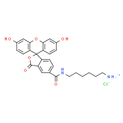 6-isomer FAM amine structure