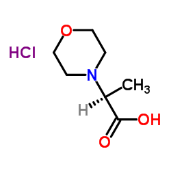 (S)-2-吗啉代丙酸盐酸盐结构式