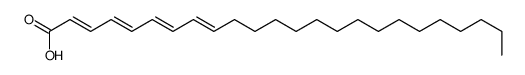 tetracosatetraenoic acid Structure