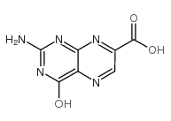 7-Pteridinecarboxylicacid, 2-amino-3,4-dihydro-4-oxo-结构式