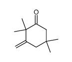 2,2,5,5-Tetramethyl-3-methylene-1-cyclohexanone结构式