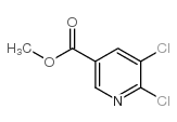 5,6-二氯烟酸甲酯图片
