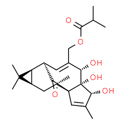 ingenol-20-isobutyrate structure
