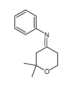 (Z)-2,2-dimethyl-N-phenyltetrahydro-4H-pyran-4-imine结构式