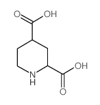 2,4-Piperidinedicarboxylic acid structure