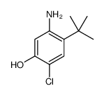 5-AMINO-4-TERT-BUTYL-2-CHLORO-PHENOL结构式
