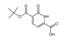 5-tert-Butyl 1,6-Dihydro-6-oxo-2,5-pyridinedicarboxylate Structure