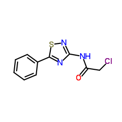 2-Chloro-N-(5-phenyl-1,2,4-thiadiazol-3-yl)acetamide Structure
