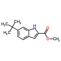 6-TERT-BUTYL-1H-INDOLE-2-CARBOXYLIC ACID METHYL ESTER结构式