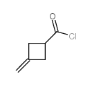 3-methylidenecyclobutane-1-carbonyl chloride Structure