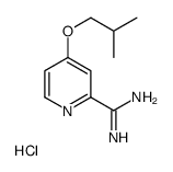 4-(2-methylpropoxy)pyridine-2-carboximidamide,hydrochloride Structure