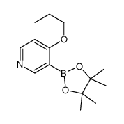 4-Propoxy-3-(4,4,5,5-tetramethyl-1,3,2-dioxaborolan-2-yl)pyridine Structure