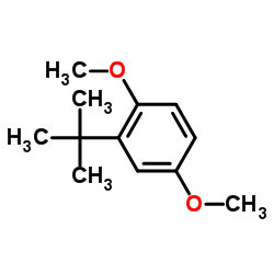 2-叔丁基-1,4-二甲氧基苯结构式