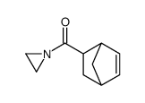 Aziridine, 1-(bicyclo[2.2.1]hept-5-en-2-ylcarbonyl)- (9CI) structure