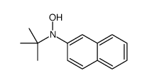 N-tert-butyl-N-naphthalen-2-ylhydroxylamine结构式