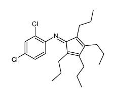 2,4-DICHLORO-N-(2,3,4,5-TETRAPROPYLCYCLOPENTA-2,4-DIENYLIDENE)ANILINE结构式