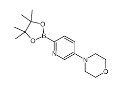 4-(6-(4,4,5,5-tetramethyl-1,3,2-dioxaborolan-2-yl)pyridin-3-yl)Morpholine结构式