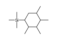 trimethyl-(2,3,4,5-tetramethylcyclohexyl)silane结构式
