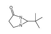 6-tert-butyl-1,5-diazabicyclo[3.1.0]hexan-2-one Structure