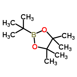 2-(tert-Butyl)-4,4,5,5-tetramethyl-1,3,2-dioxaborolane Structure