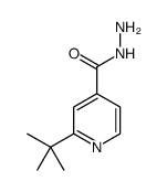 2-tert-butylpyridine-4-carbohydrazide结构式