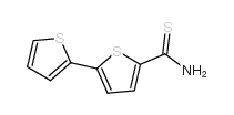 2,2'-BITHIOPHENE-5-CARBOTHIOAMIDE Structure