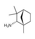 (1S)-endo-fenchylamine Structure